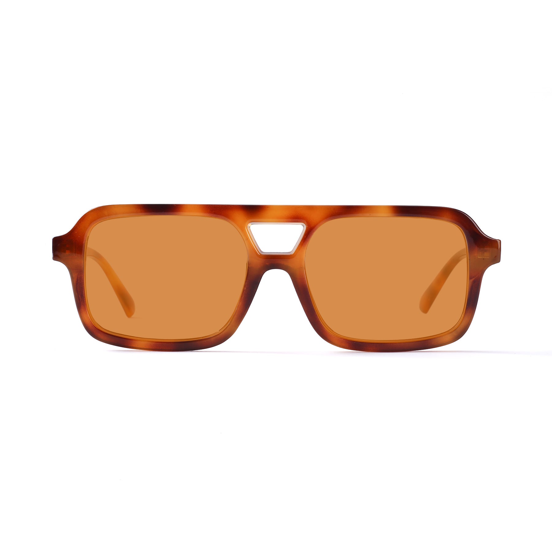 #color_yellow tortoise