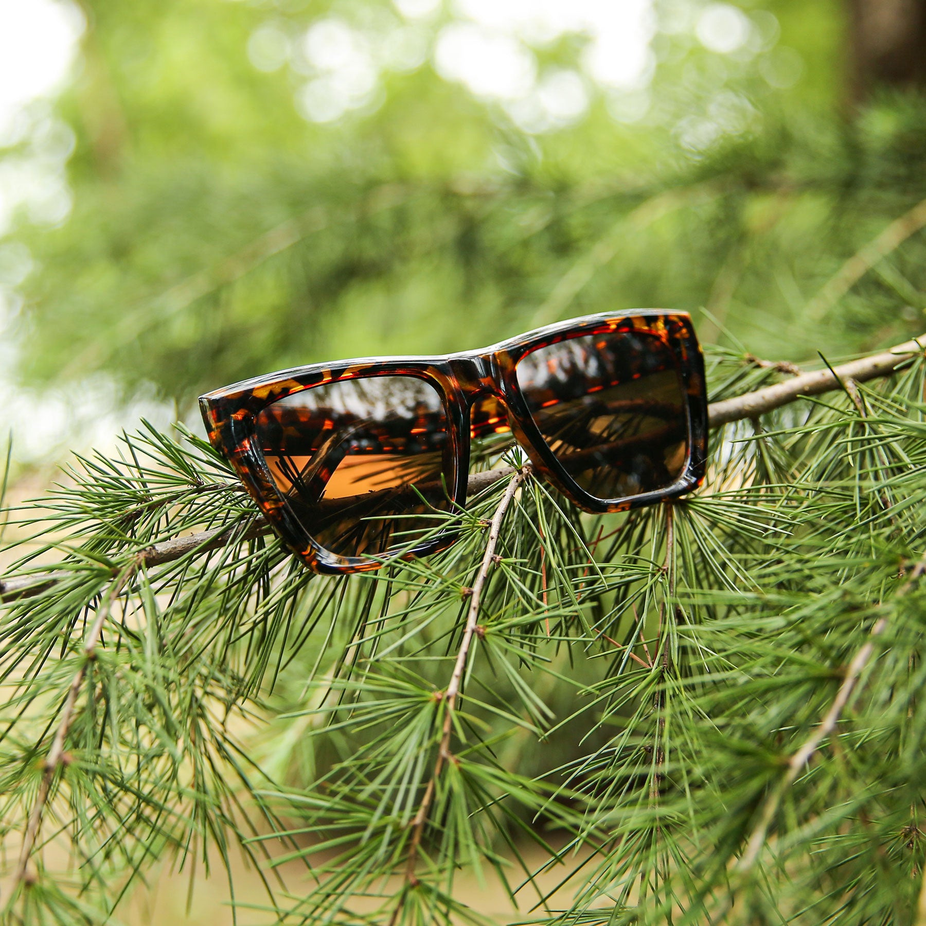 #color_leopard print