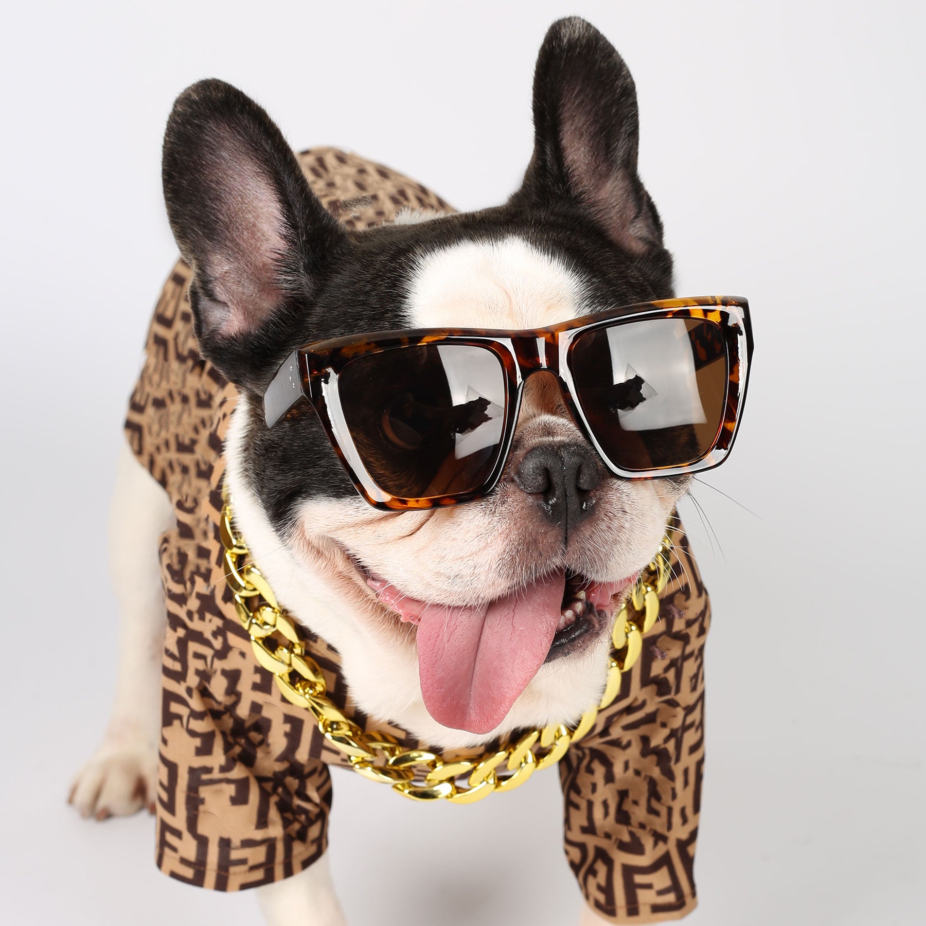 #color_leopard print