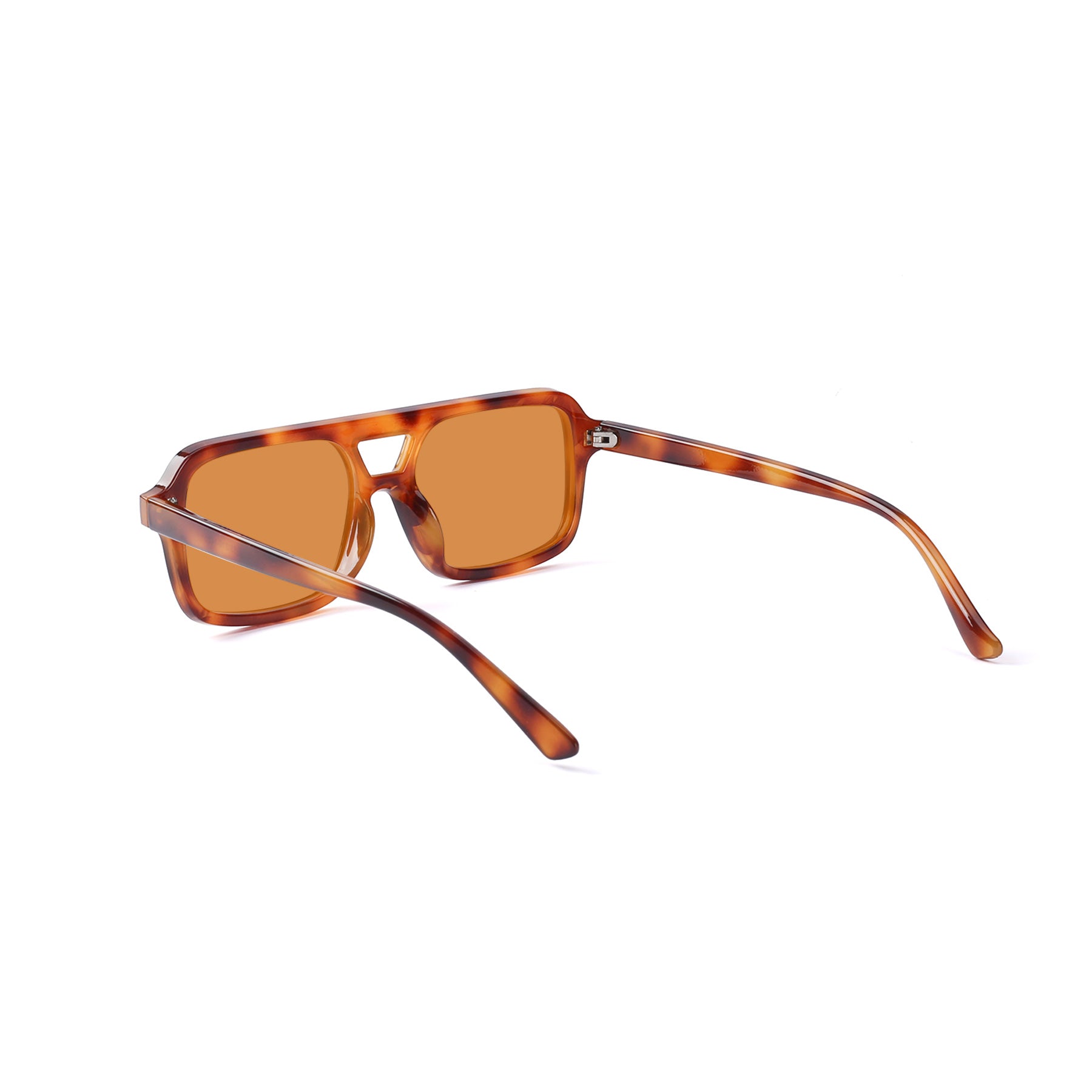 #color_yellow tortoise