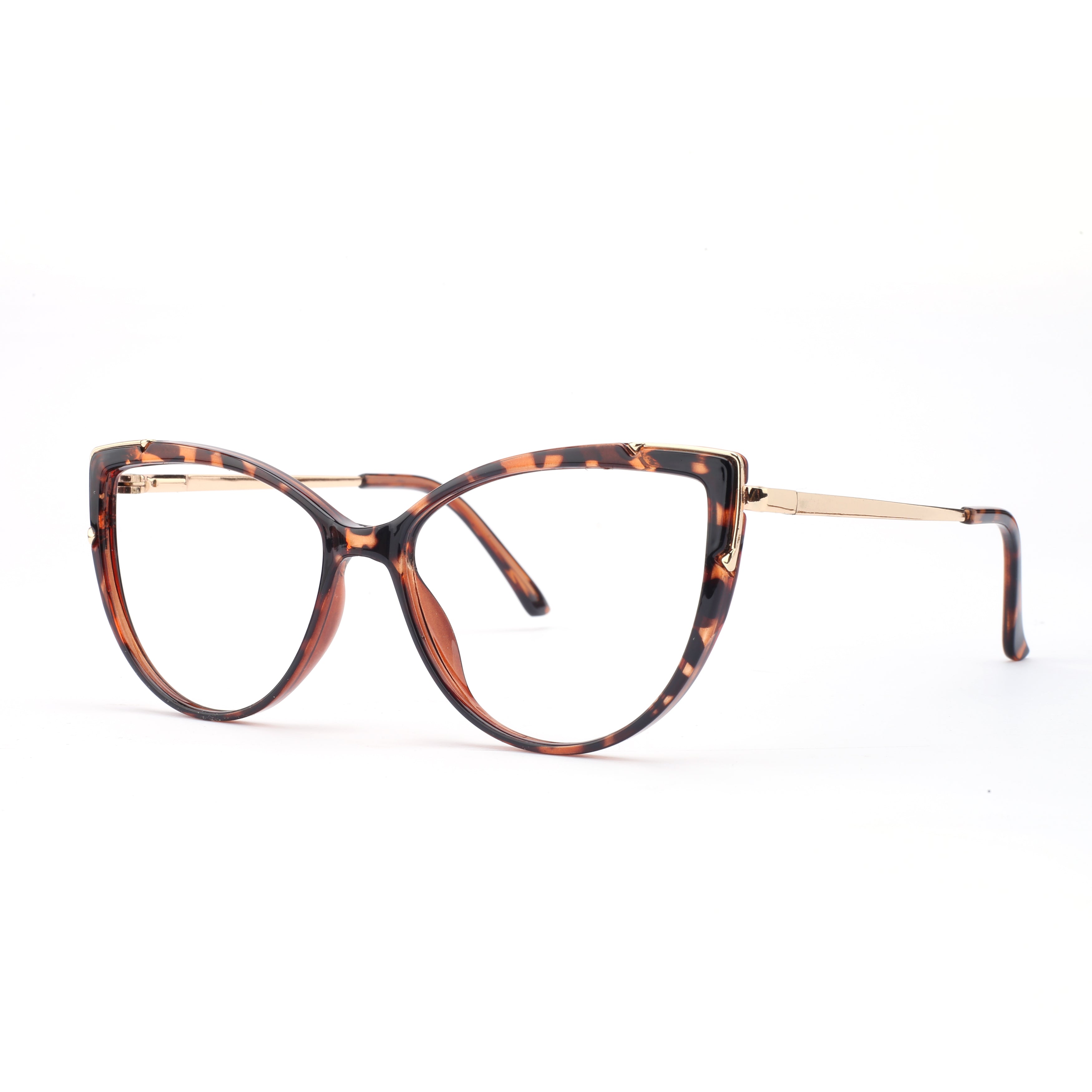 #color_tortoise brown