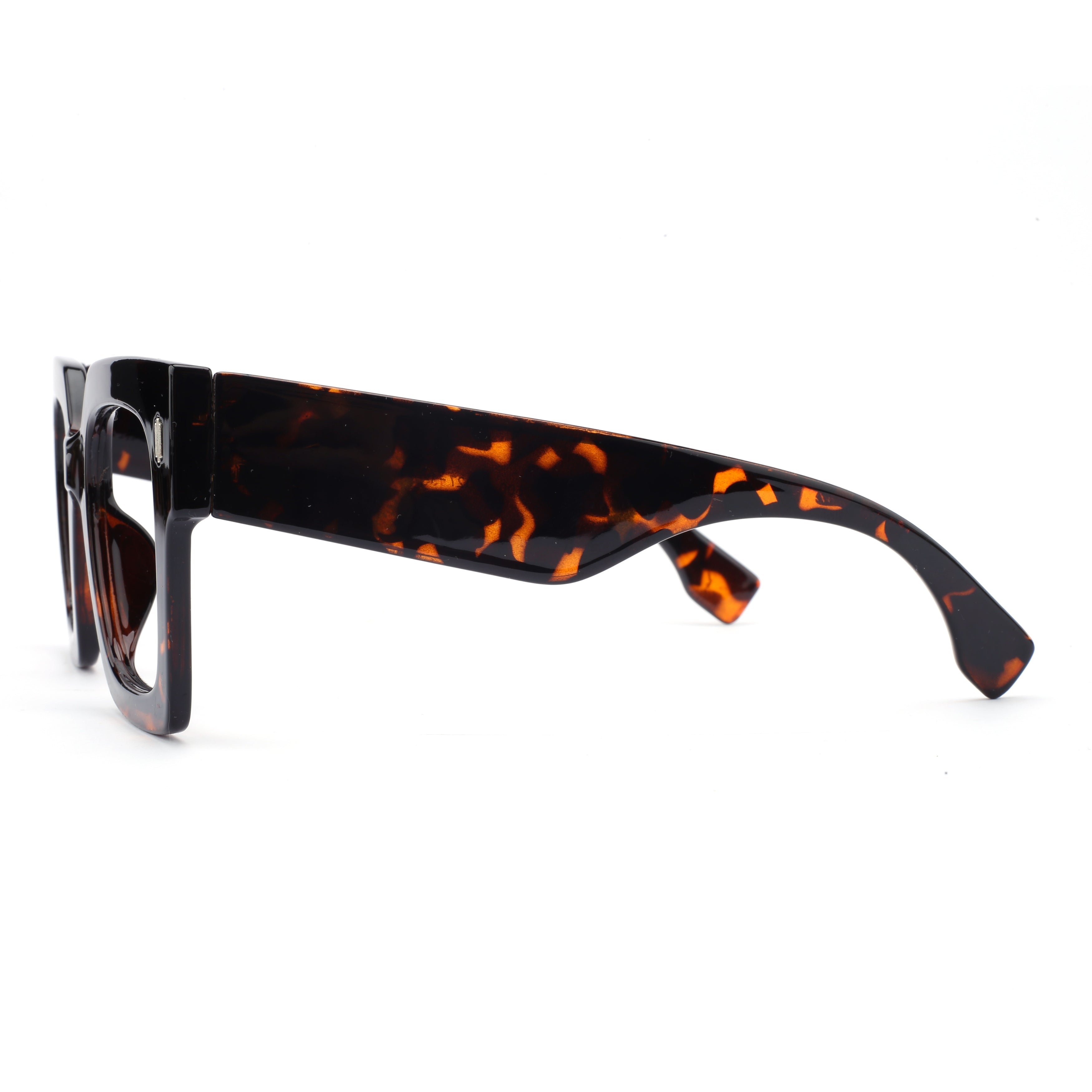 #color_classic tortoise