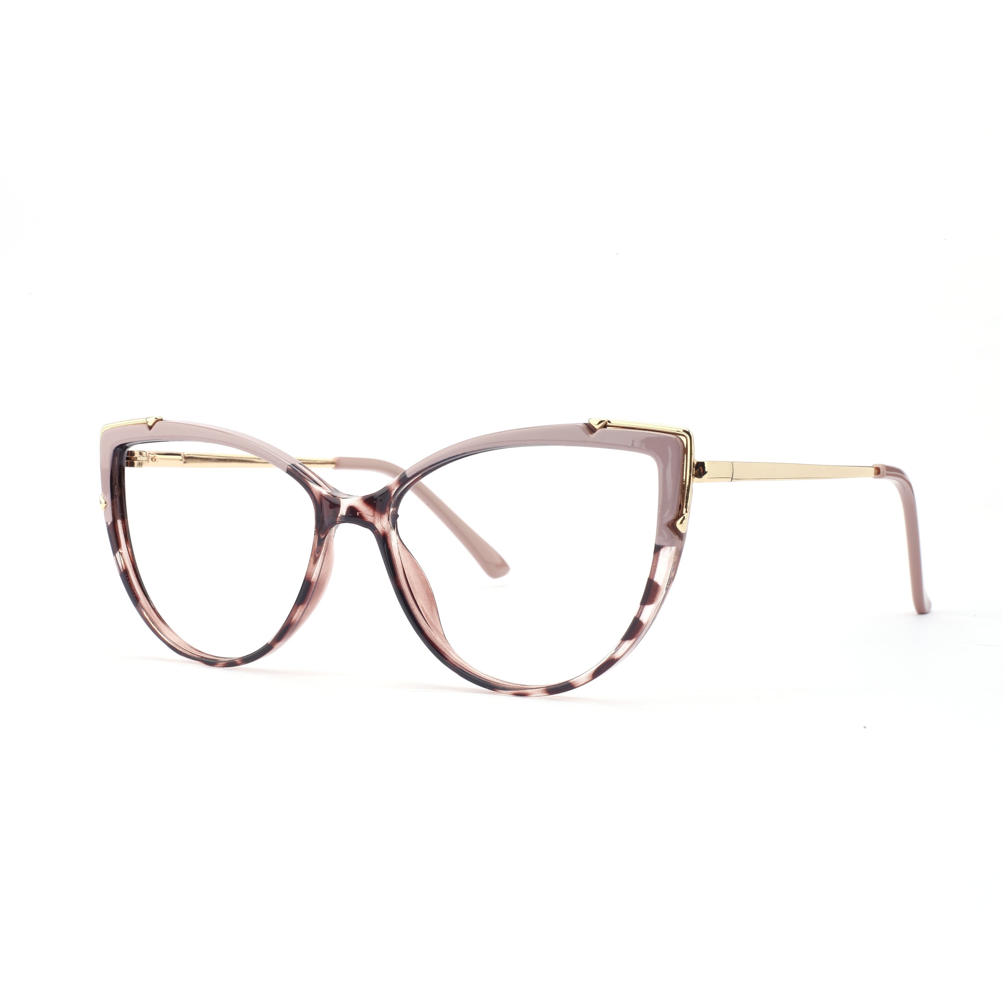 #color_mauve tortoise