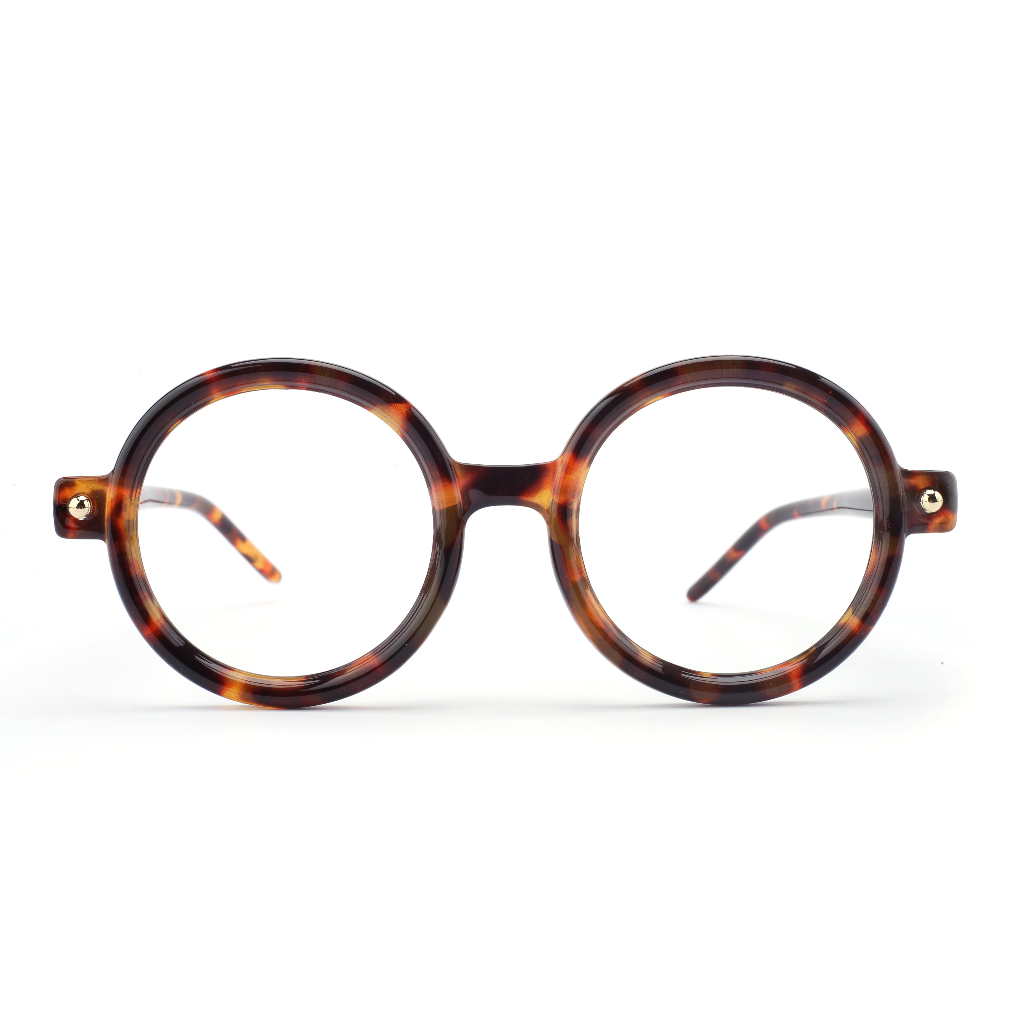 #color_classic tortoise