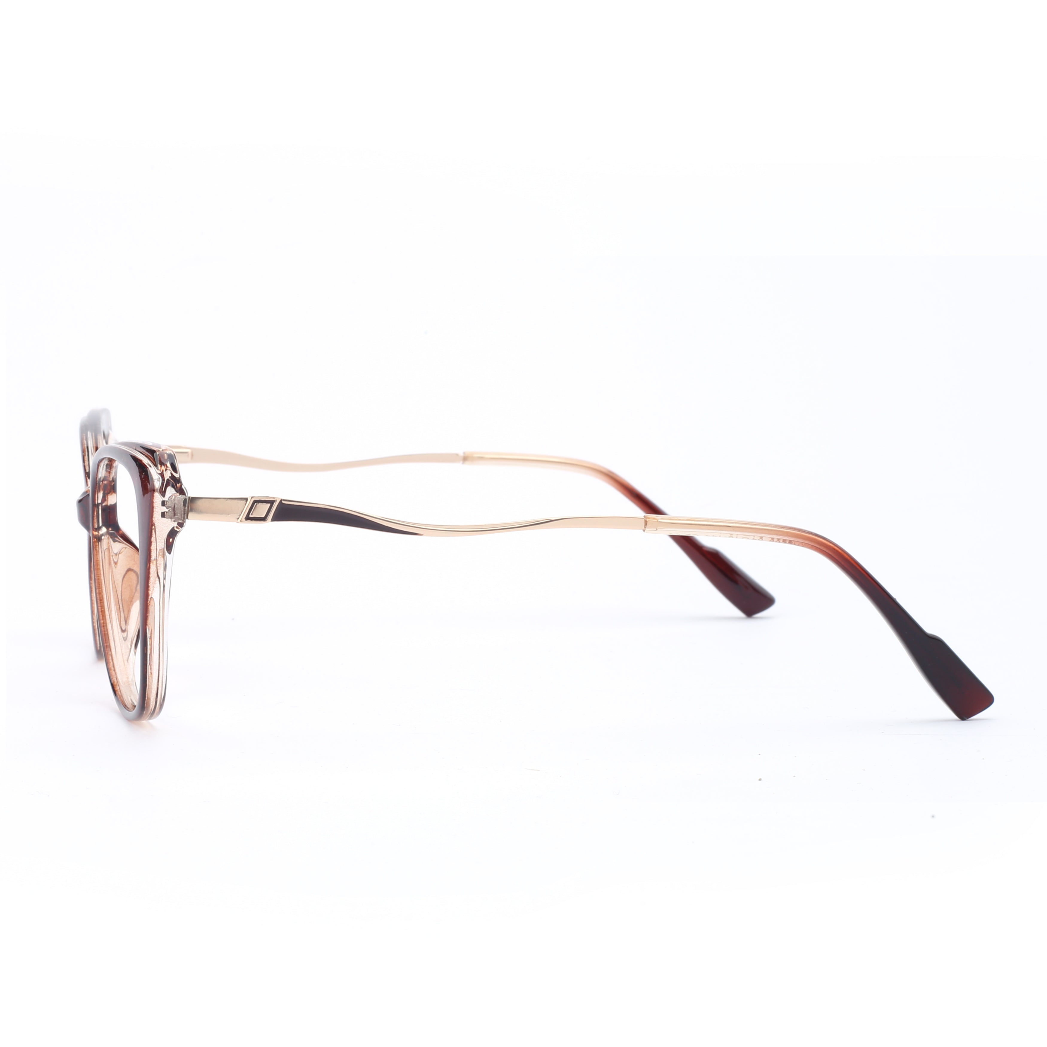 #color_tortoise brown