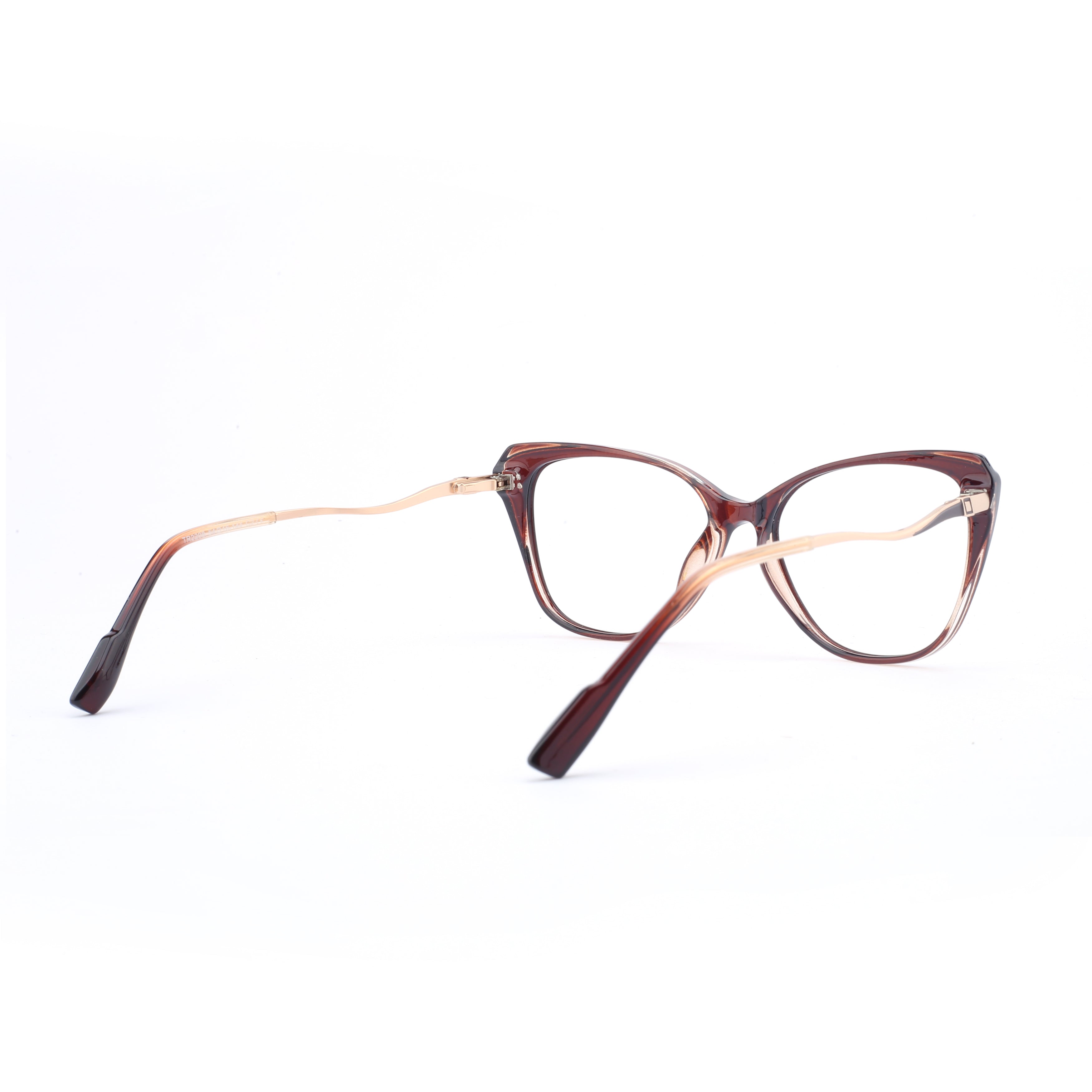 #color_tortoise brown