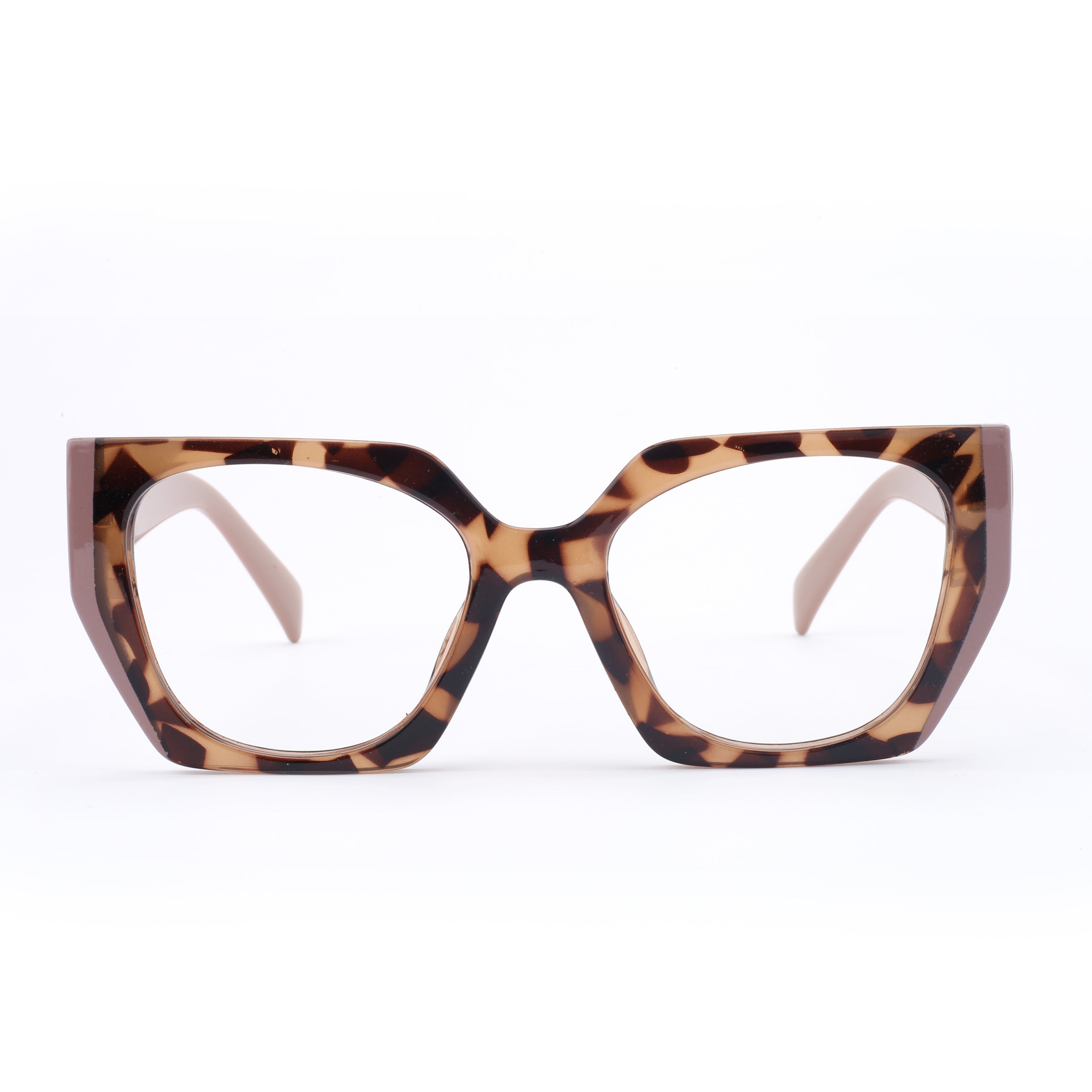 #color_classic tortoise