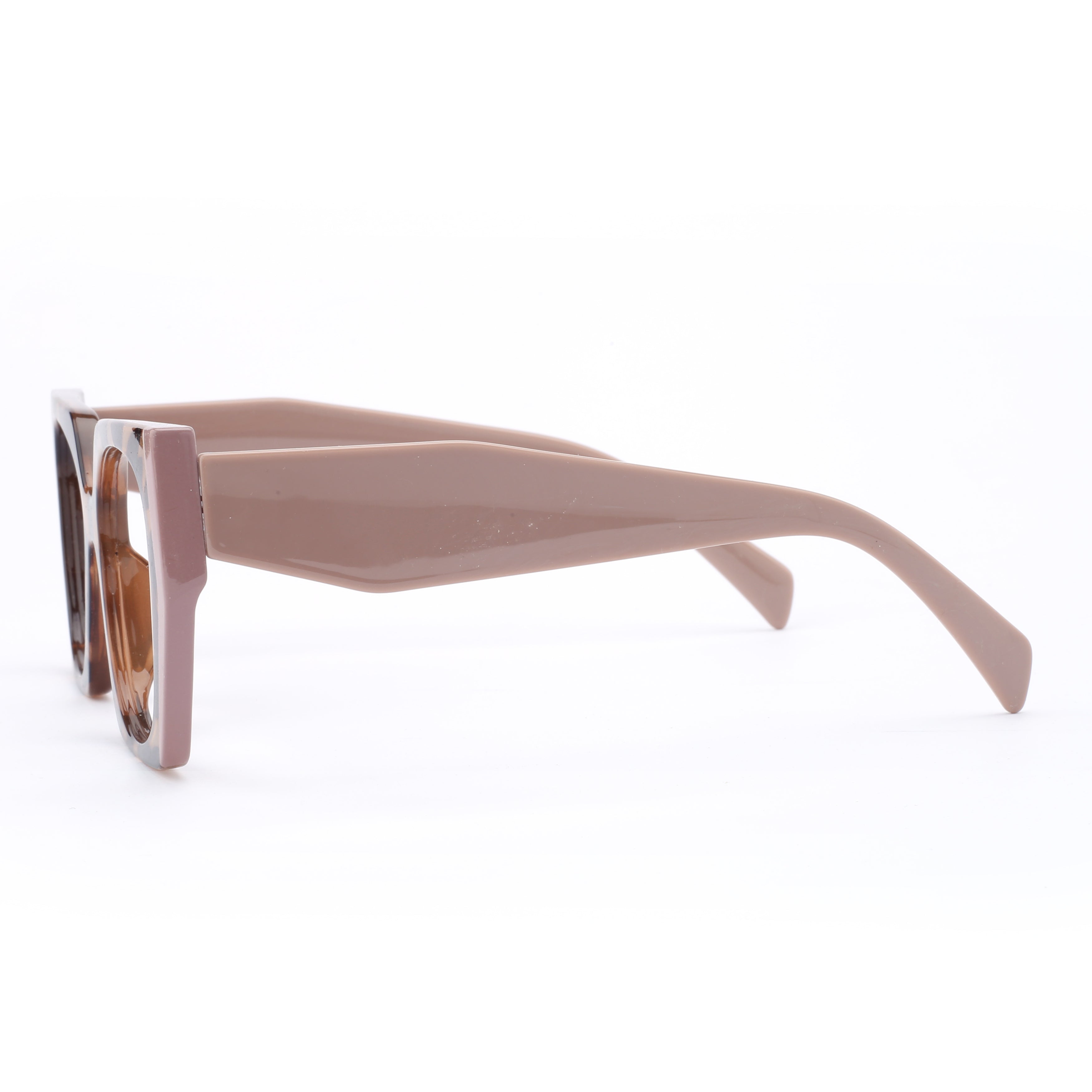 #color_classic tortoise