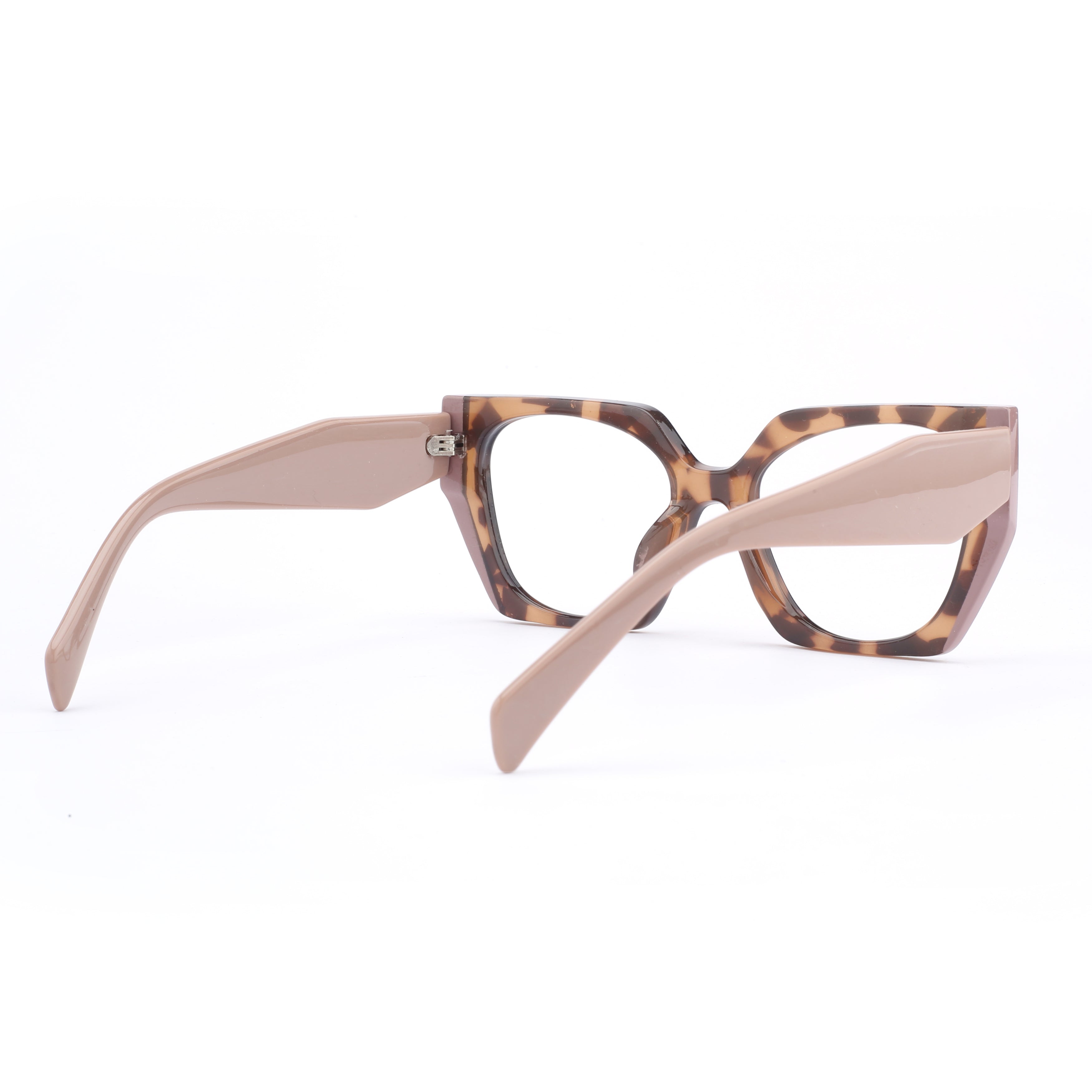 #color_classic tortoise