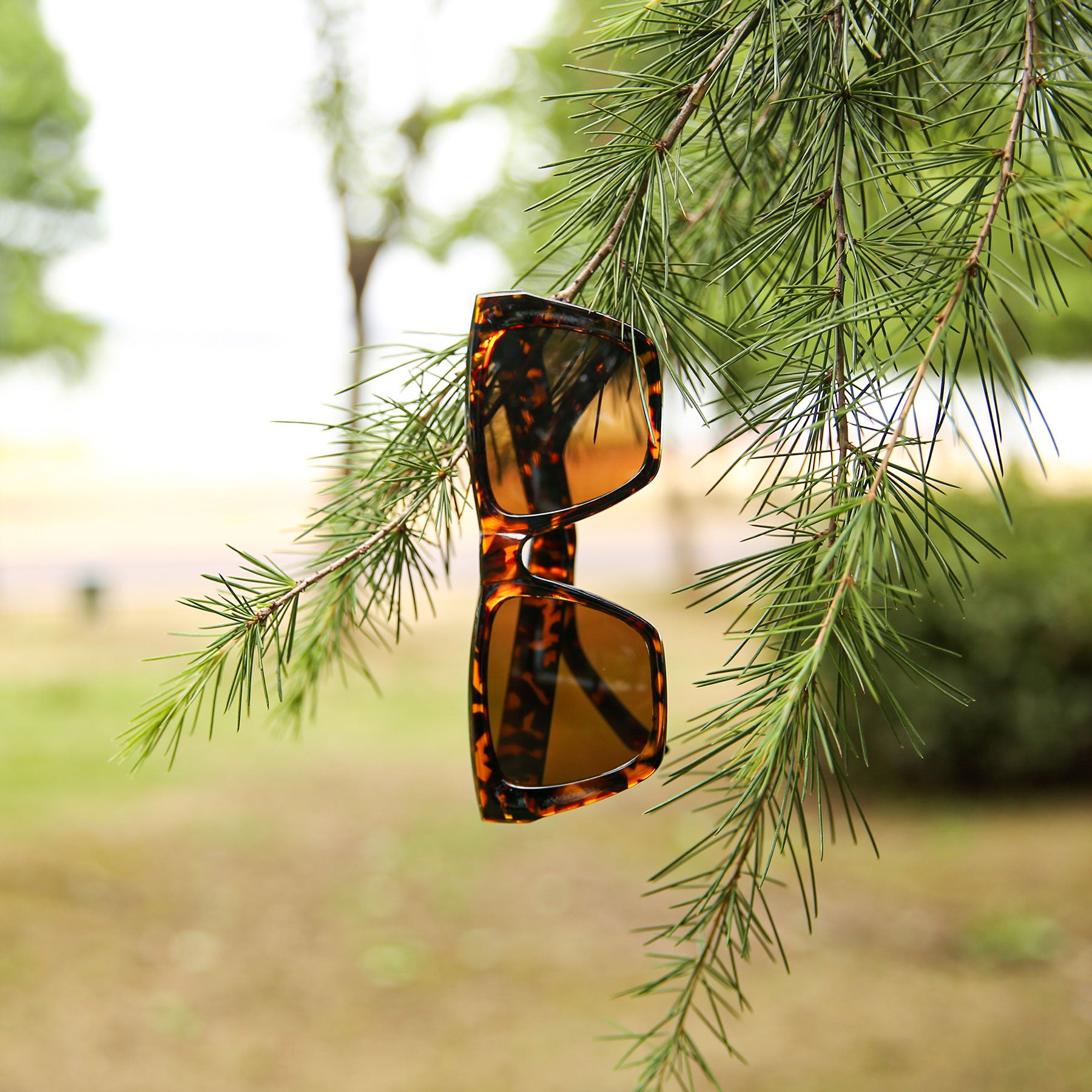 #color_leopard print