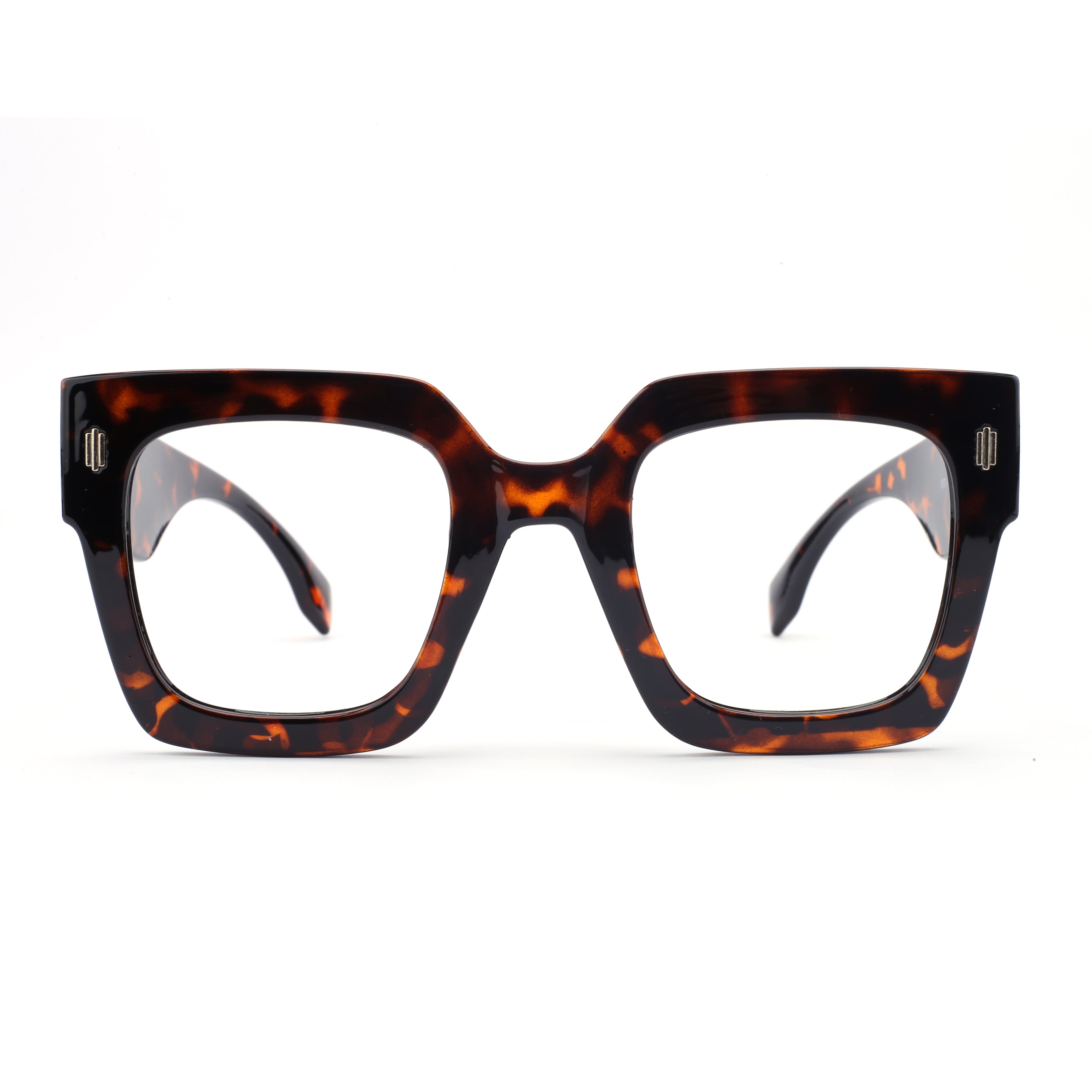 #color_classic tortoise