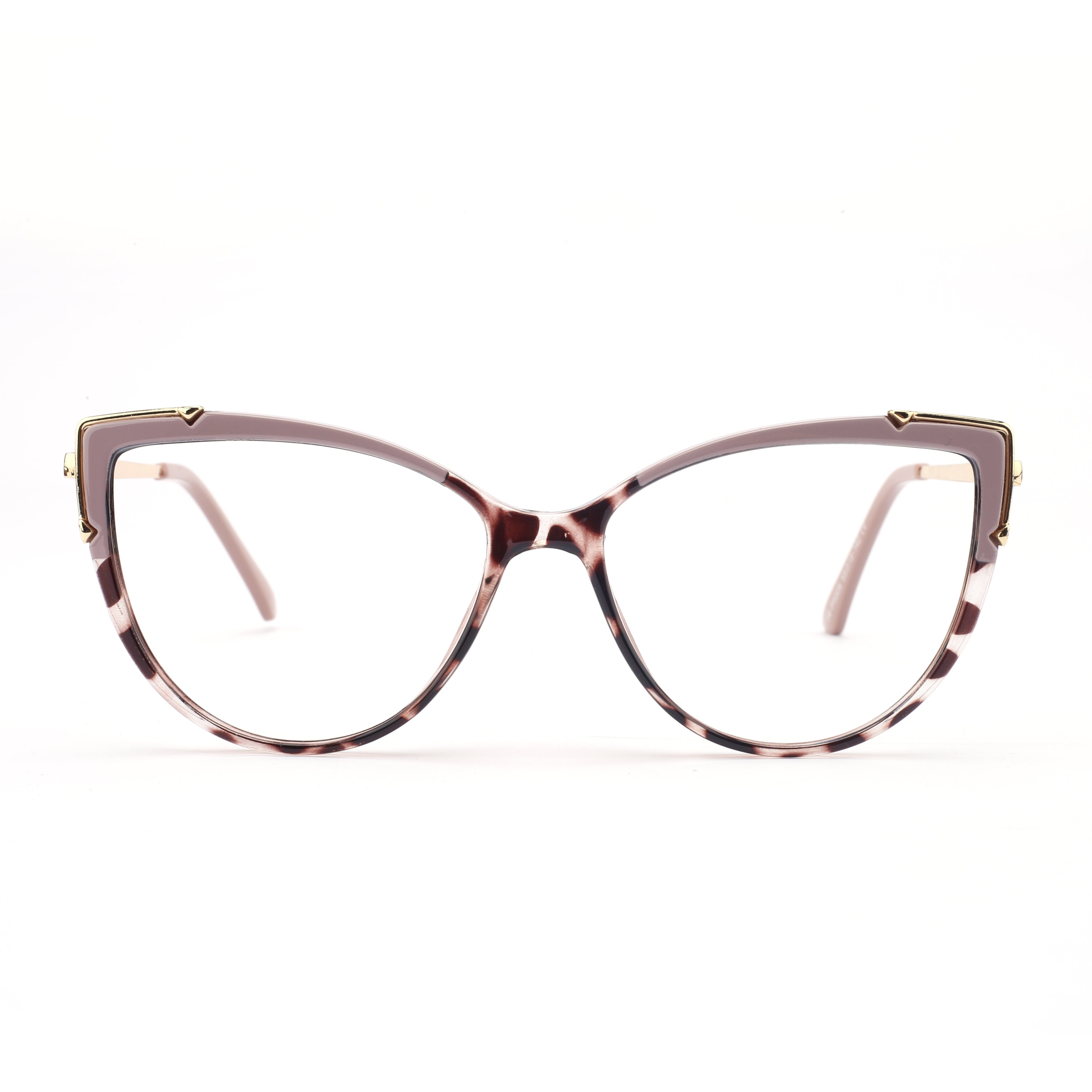 #color_mauve tortoise