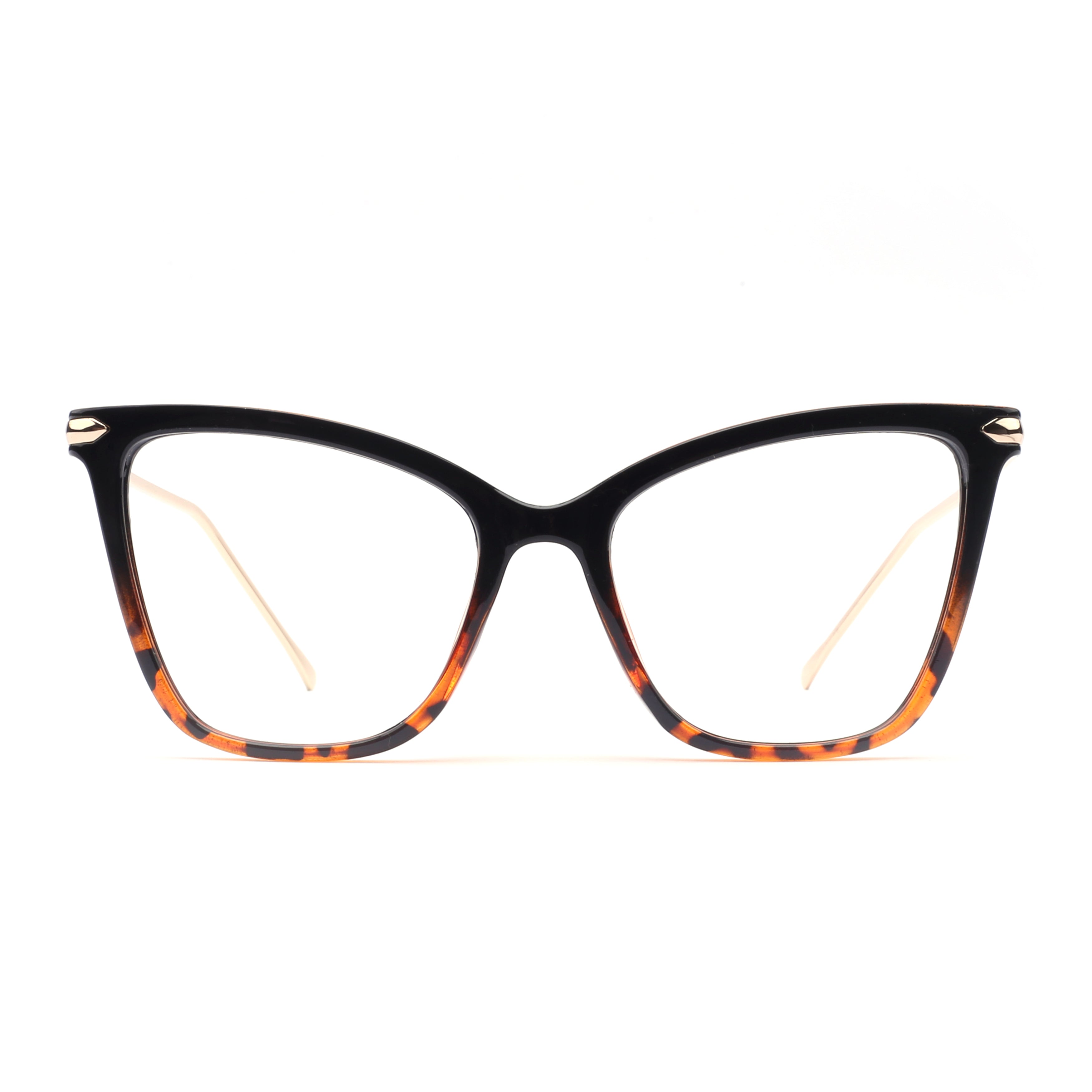 #color_tortoise shell