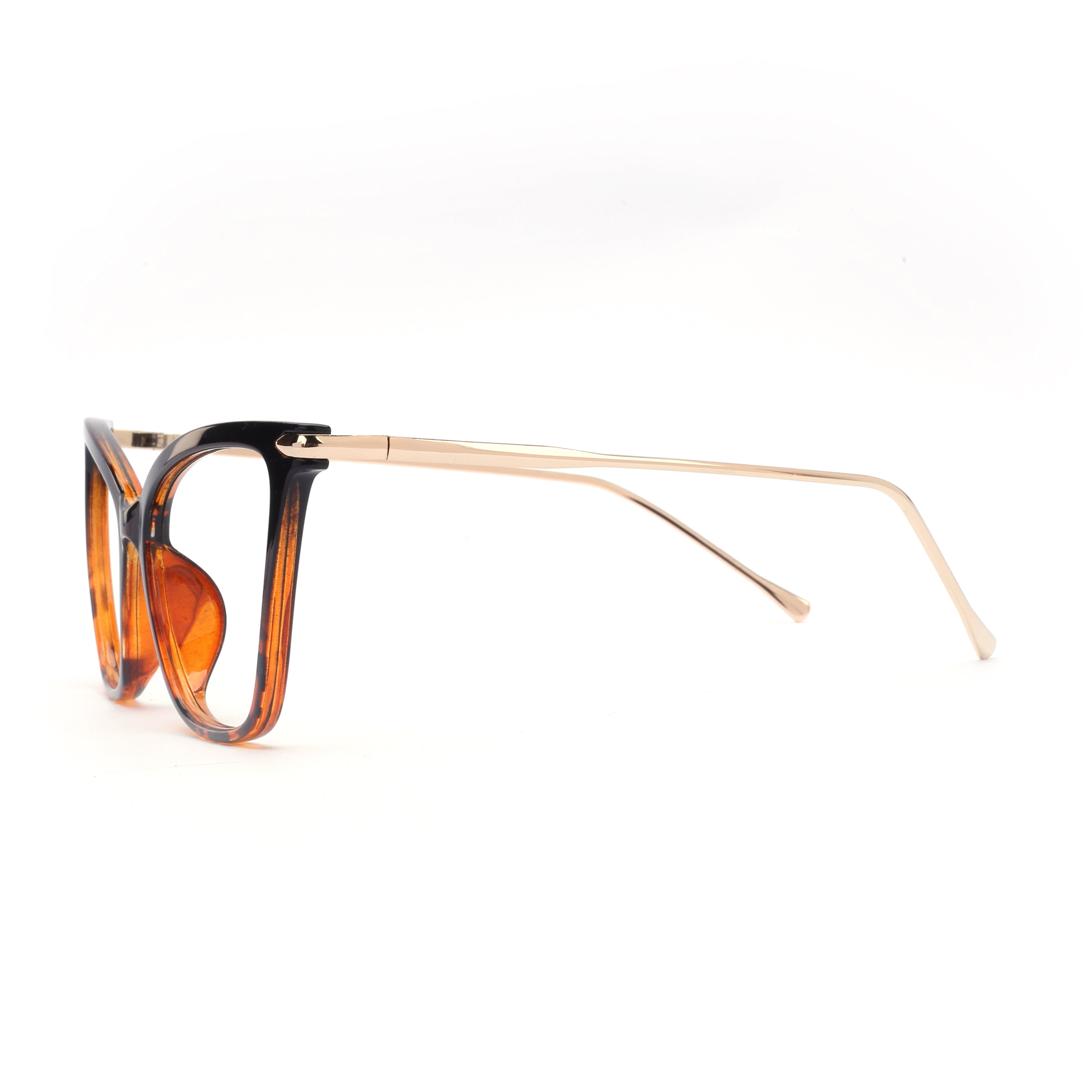 #color_tortoise shell